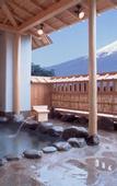 Туры в отель Fuji Kawaguchiko Onsen Hotel Konansou