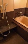 Туры в отель Fuji Kawaguchiko Onsen Hotel Konansou