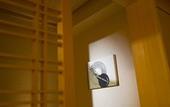 Туры в отель Fuji Kawaguchiko Onsen Hotel Konansou