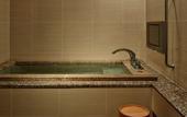 Туры в отель Fuji Kawaguchiko Onsen Hotel Konansou