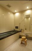 Туры в отель Fuji Kawaguchiko Onsen Hotel Konansou
