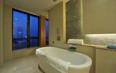 Туры в отель Nanjing Jinling Hotel- City Center