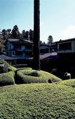 Туры в отель Fukuchi-IN