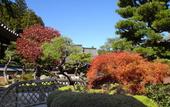 Туры в отель Fukuchi-IN