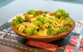 Туры в отель ibis Puerto Montt
