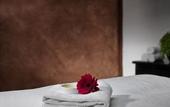 Туры в отель Van der Valk Hotel Paris CDG Airport