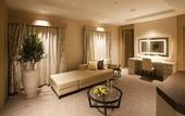 Туры в отель Hotel Associa Shizuoka