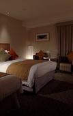 Туры в отель Hotel Associa Shizuoka