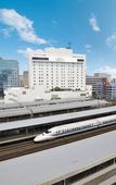 Туры в отель Hotel Associa Shizuoka