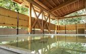 Туры в отель Mars Garden Wood Gotemba