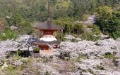 Туры в отель Miyajima Hotel Makoto