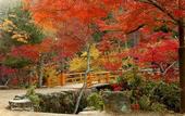 Туры в отель Miyajima Hotel Makoto