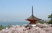 Туры в отель Miyajima Hotel Makoto