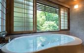 Туры в отель Hotel Miyajima Villa