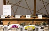 Туры в отель Hotel Miyajima Villa