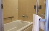 Туры в отель Solaria Nishitetsu Hotel Kagoshima