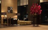 Туры в отель Solaria Nishitetsu Hotel Kagoshima