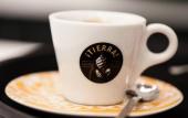 Туры в отель Adalesia Hotel & Coffee