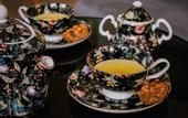 Туры в отель Casa di Pino EcoLodge Hotel