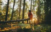 Туры в отель Casa di Pino EcoLodge Hotel