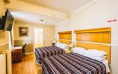 Туры в отель The Rex Hotel