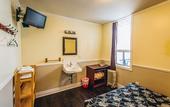 Туры в отель The Rex Hotel