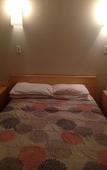 Туры в отель The Rex Hotel