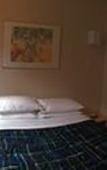 Туры в отель The Rex Hotel