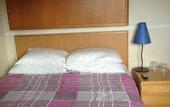 Туры в отель The Rex Hotel