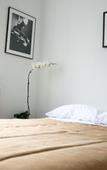 Туры в отель The Rex Hotel