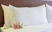 Туры в отель Radisson Bogota Metrotel