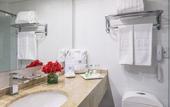 Туры в отель Radisson Bogota Metrotel