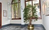 Туры в отель Royal Victoria Hotel
