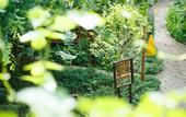 Туры в отель Pai Village Boutique Resort & Farm