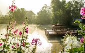 Туры в отель Pai Village Boutique Resort & Farm