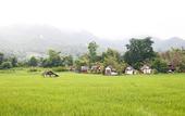 Туры в отель Pai Village Boutique Resort & Farm