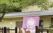 Туры в отель Miyajima MorinoYado Inn