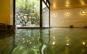 Туры в отель Miyajima MorinoYado Inn