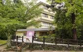 Туры в отель Miyajima MorinoYado Inn