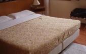 Туры в отель Hotel Minerva E Nettuno