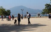 Туры в отель Miyajima Seaside Hotel