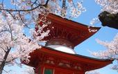Туры в отель Miyajima Seaside Hotel