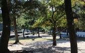 Туры в отель Miyajima Seaside Hotel