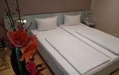 Туры в отель Hotel Attache