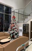 Туры в отель Toyoko Inn Seoul Yeongdeungpo