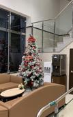 Туры в отель Toyoko Inn Seoul Yeongdeungpo