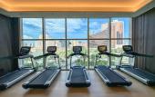 Туры в отель YOHO Treasure Island Hotel