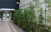 Туры в отель Oriental Hotel Hiroshima