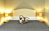 Туры в отель Hotel Nuovo Nord