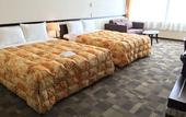 Туры в отель Toyoko Inn Narita Airport Honkan
